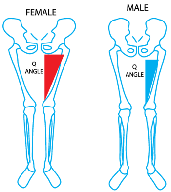 Figure 2 – Female and male Q-angles.